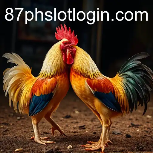 The Evolution and Impact of Sabong Games With Insights on 87PH.COM